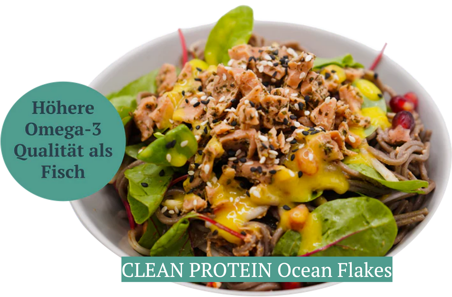 CLEAN PROTEIN Musterpaket für Gastronomen - mit Geld-zurück-Garantie